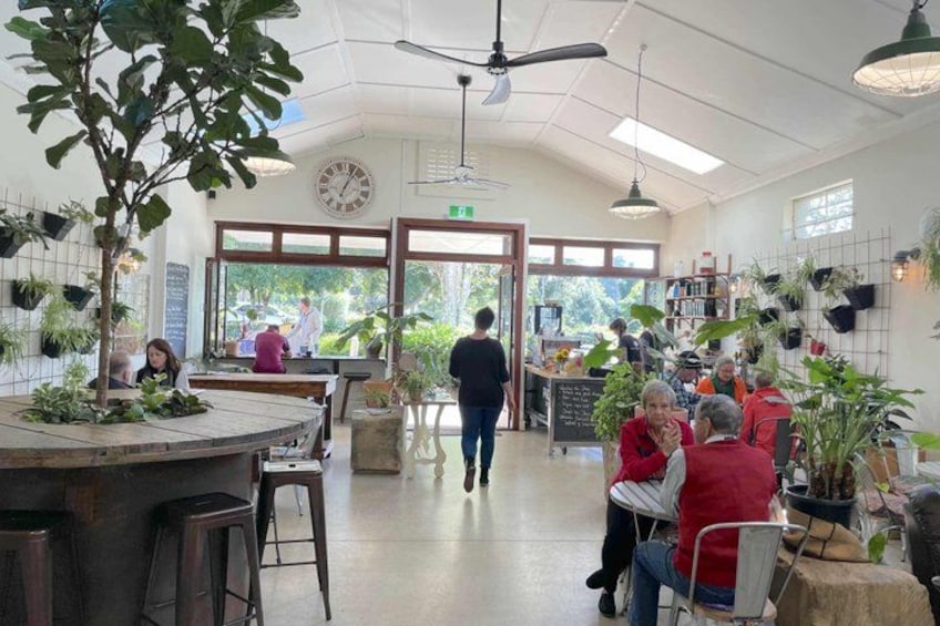 A cafe with tables and chairs, potted plants, and a ceiling fan. 3