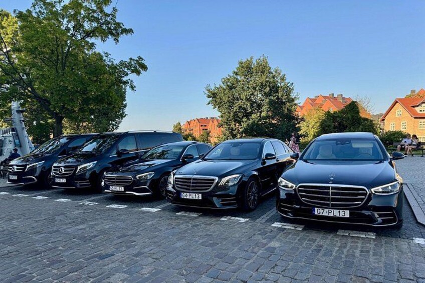 File di auto parcheggiate su una strada acciottolata, sullo sfondo alberi e edifici. 2