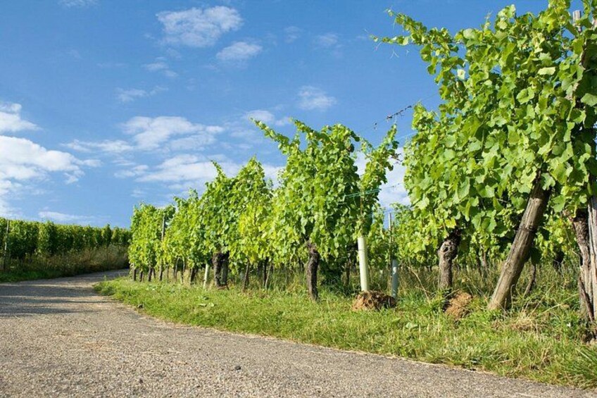 Questions and challenges about Alsace traditions and history 4