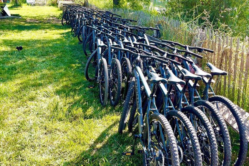 Una hilera de bicicletas estacionadas sobre césped. 2