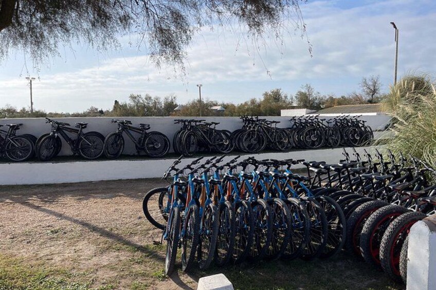 Varias bicicletas están aparcadas junto a una pared, con cielo despejado y árboles al fondo. 3