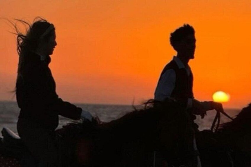 Horseback riding at sunset (2 hours) 5