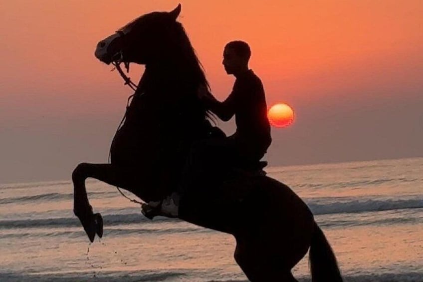 Horseback riding at sunset (2 hours) 2