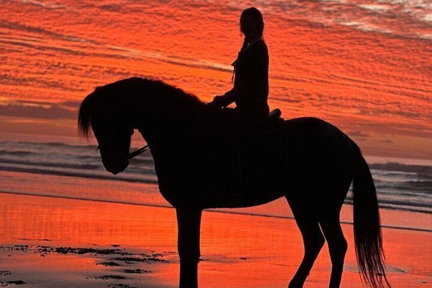 Horseback riding at sunset (2 hours) 4