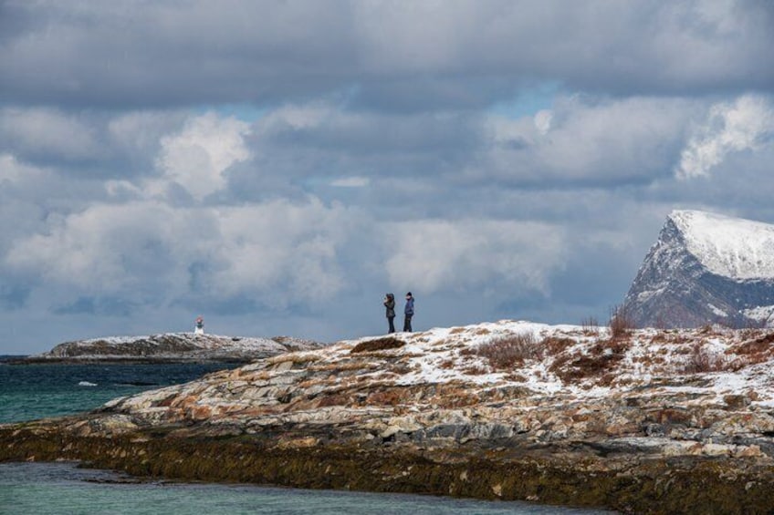 Tromsø: Kvaløya & Sommarøy Guided Fjord Tour with Lunch 5
