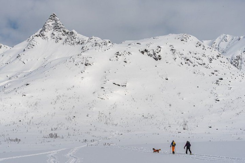A snowy mountain landscape with a prominent peak, a person with a dog, and another person in the distance. 5