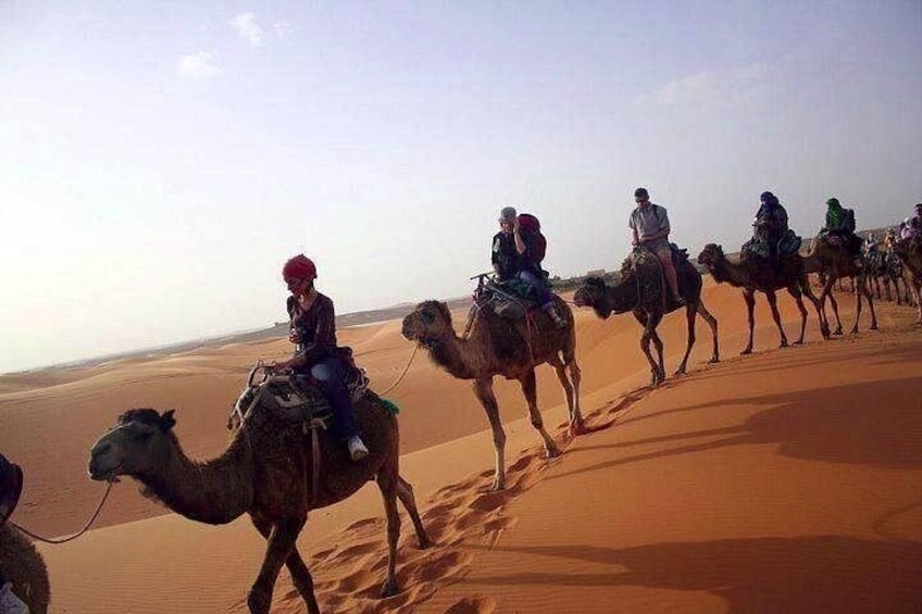 A group of people riding camels across a desert landscape. 4