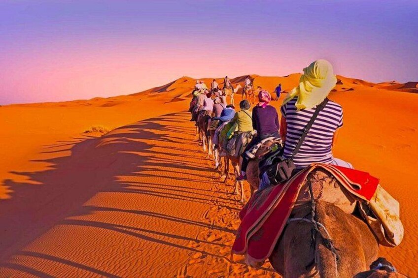 A camel caravan in a desert landscape. 1