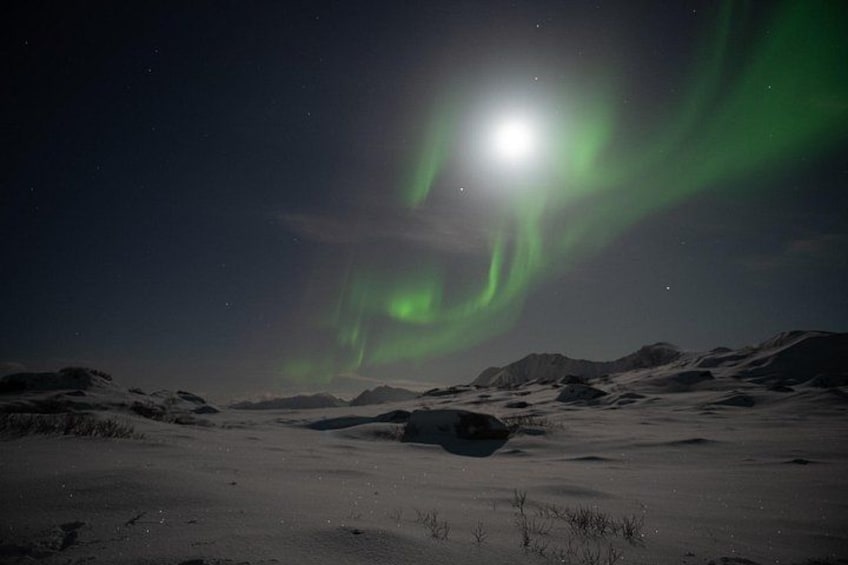Paisaje nevado con una luna brillante y aurora boreal verde. 1