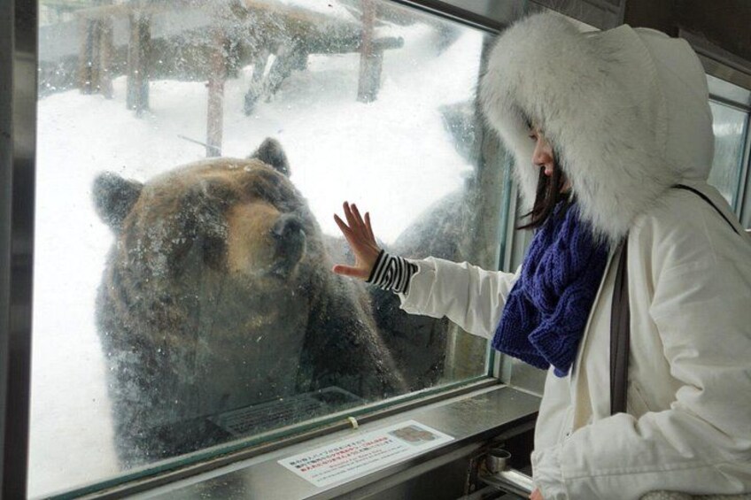 Hokkaido: Lake Toya, Bear Ranch and Sapporo Otaru Full Day Tour 4
