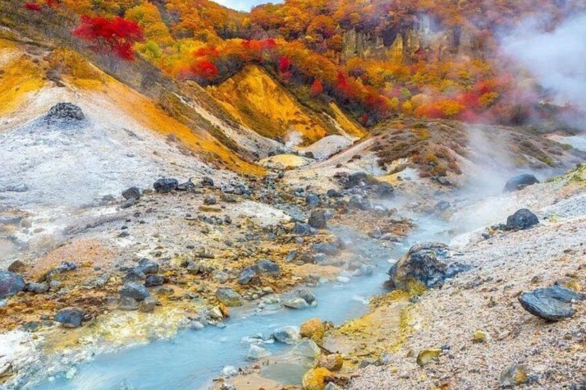 Hokkaido: Lake Toya, Bear Ranch and Sapporo Otaru Full Day Tour 3