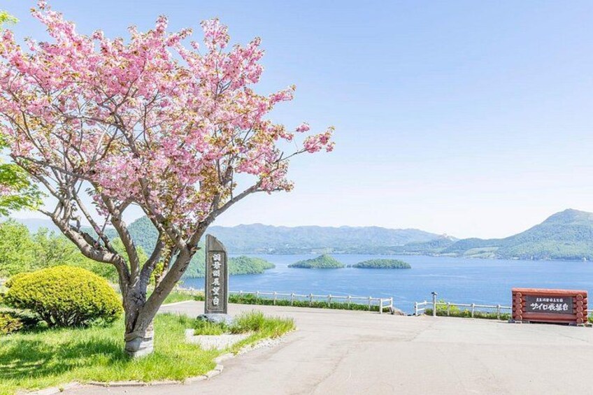 Hokkaido: Lake Toya, Bear Ranch and Sapporo Otaru Full Day Tour 5