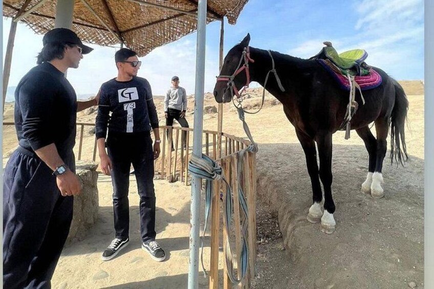 A horse with a saddle standing near a metal fence in a desert-like environment. 5