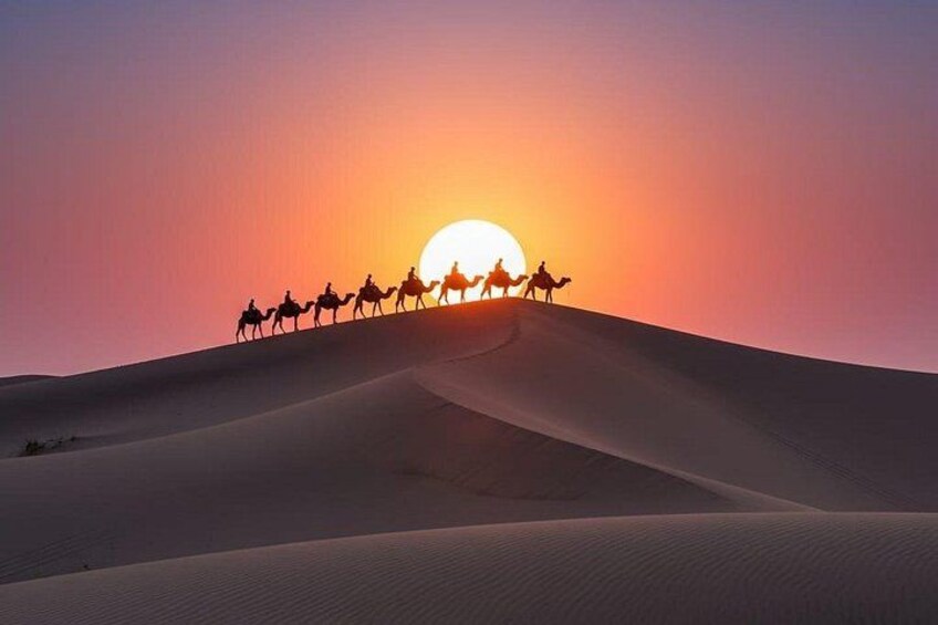 A group of camels with riders on a sand dune at sunset. 2