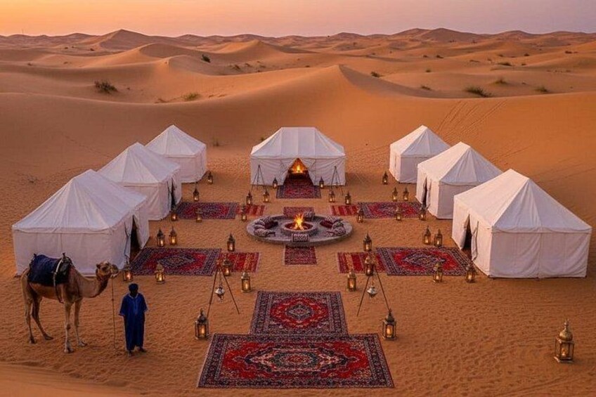 A desert campsite with tents, a fire pit, and camels. 5