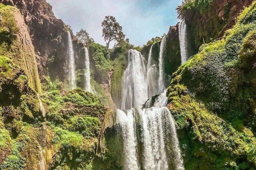 Marrakech : Ouzoud waterfalls, Mountains hike, Boat Ride & Lunch 3