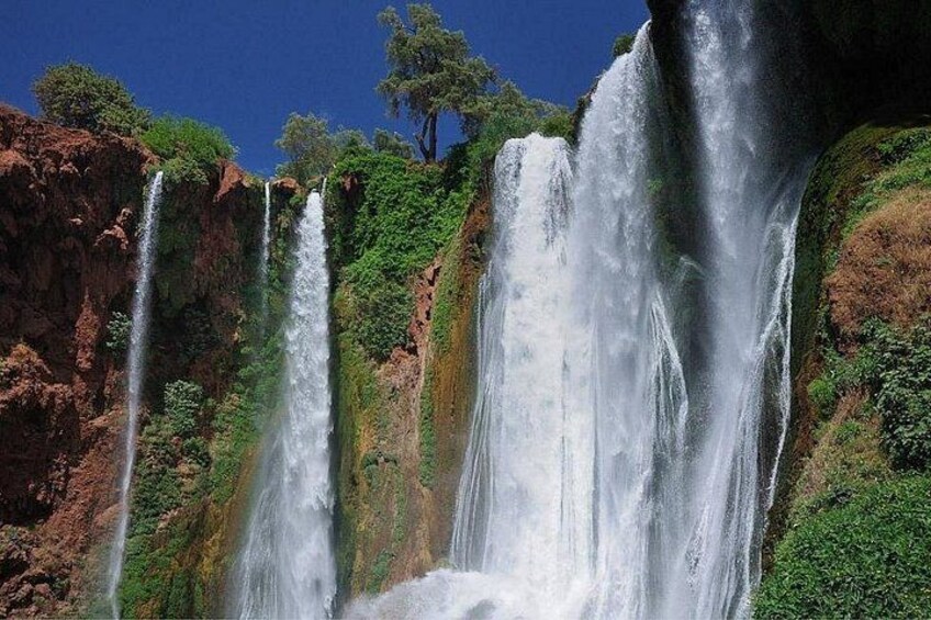 Marrakech : Ouzoud waterfalls, Mountains hike, Boat Ride & Lunch 4