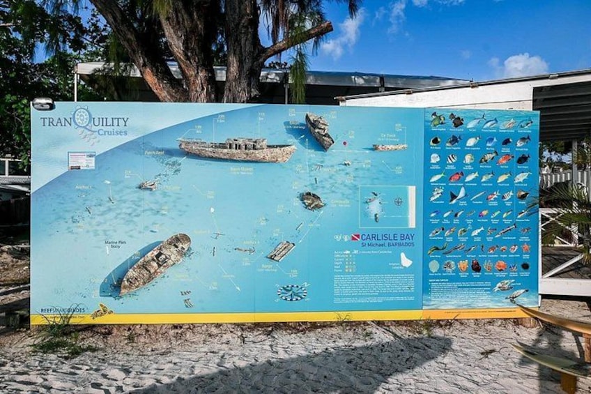 A large informational display about Tranquility Cruises, featuring a map of the Caribbean, a boat, and a list of marine life. 5