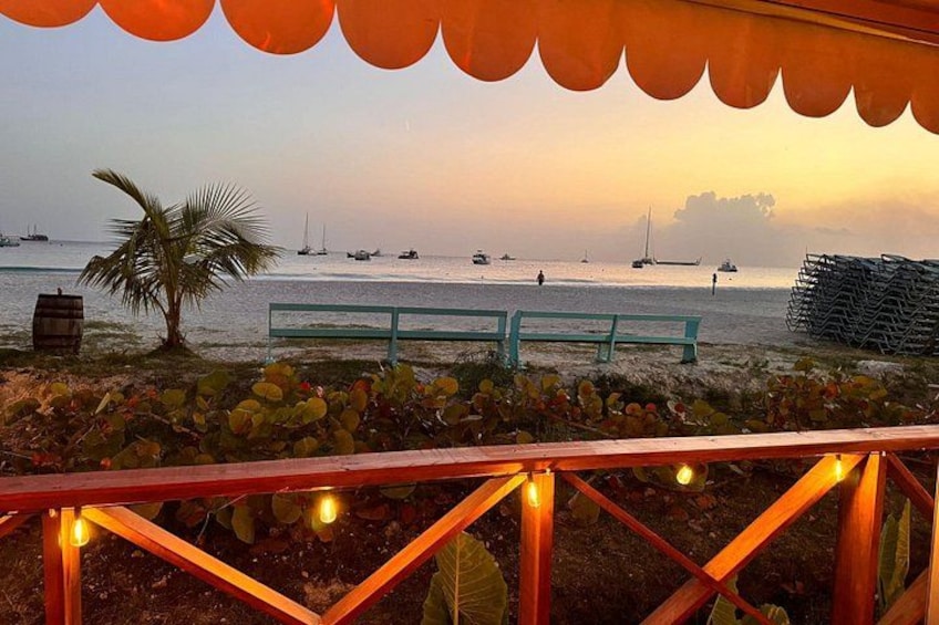 A beach with a bench, palm tree, and boats in the distance. 4