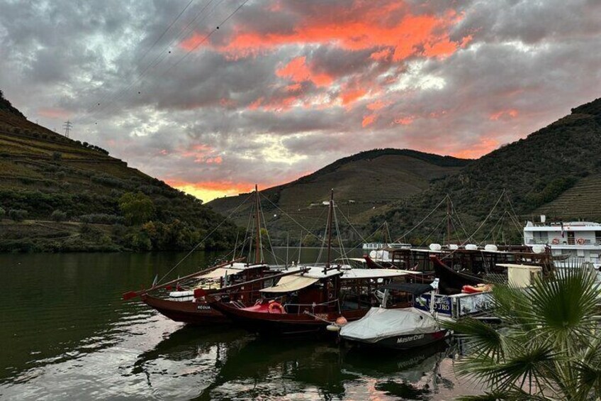 Douro Valley Wine Exclusive Tasting Tour in Porto - WOW - 5