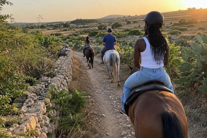 Malta: Small-Group Sunset Horseback Ride Through the Countryside 3