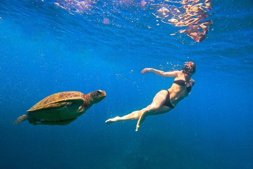 No Rush Morning & Afternoon 5 Stop Snorkeling tour for Koh Tao 5