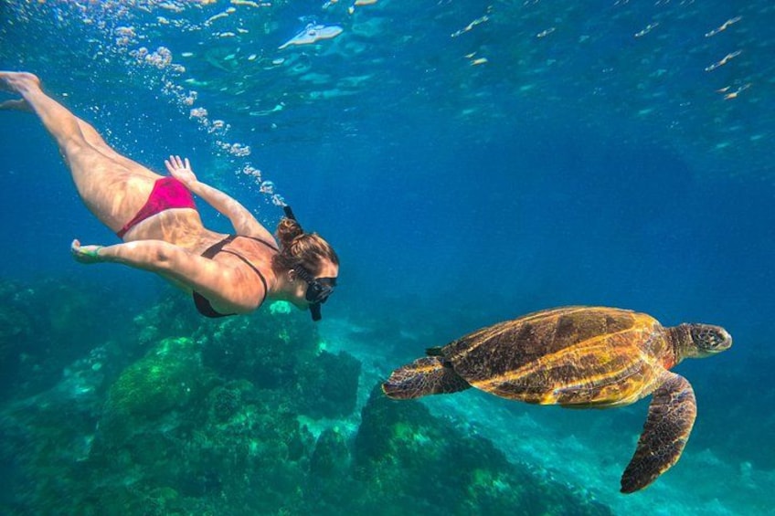 No Rush Morning & Afternoon 5 Stop Snorkeling tour for Koh Tao 1