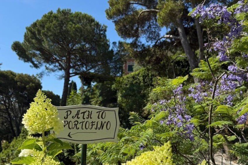 I found my love in Portofino, private tour 2