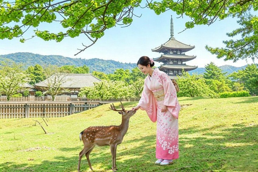 Kyoto & Nara & Uji: Full Day Sightseeing Tour from Osaka or Kyoto 1