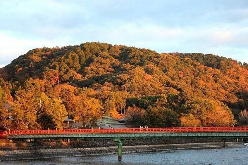 Kyoto & Nara & Uji: Full Day Sightseeing Tour from Osaka or Kyoto 4