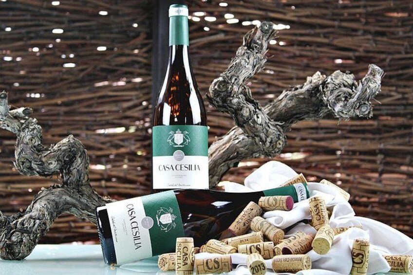 Alicante: Winery tour with tastings (small friendly group) 4