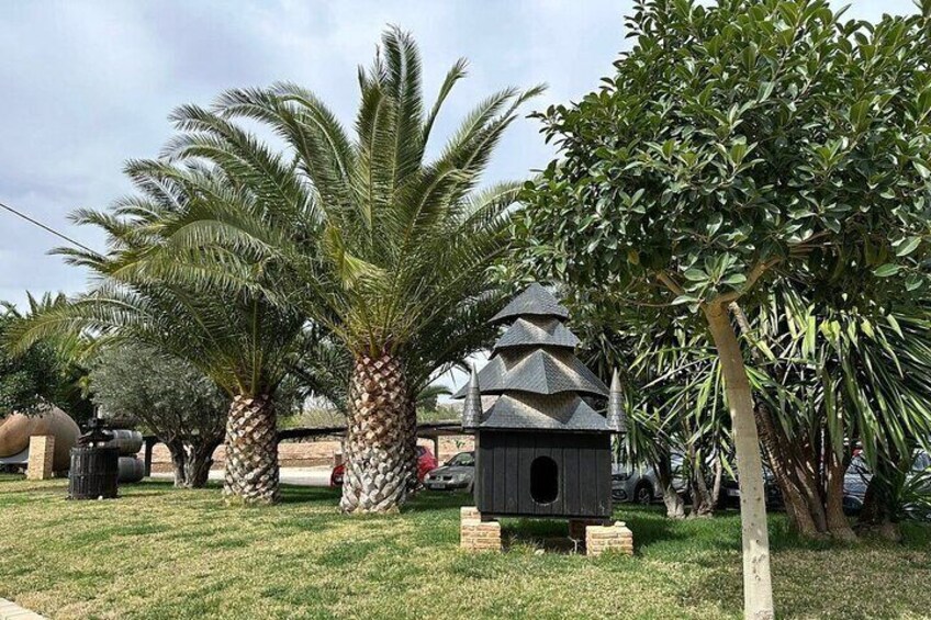 Een tuin met palmbomen, een vogelhuisje en een bakstenen gebouw. 5