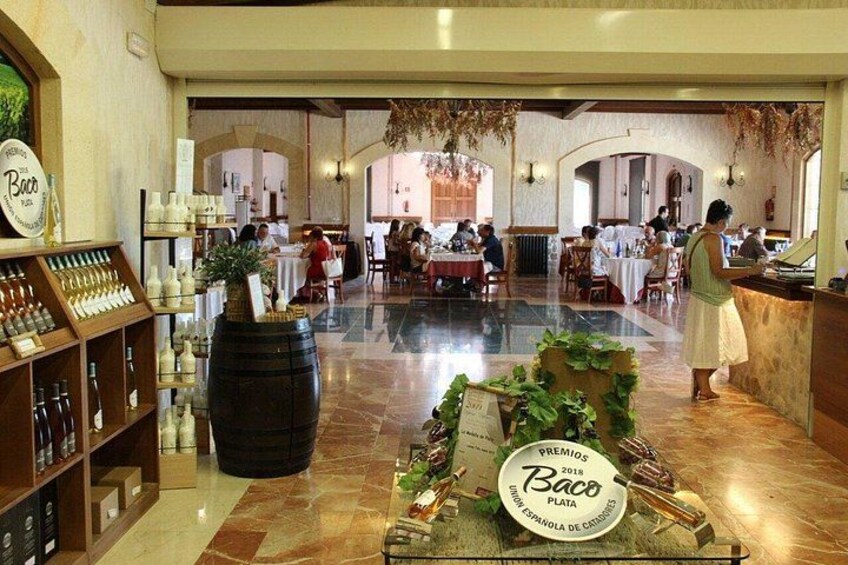 Alicante: Winery tour with tastings (small friendly group) 3
