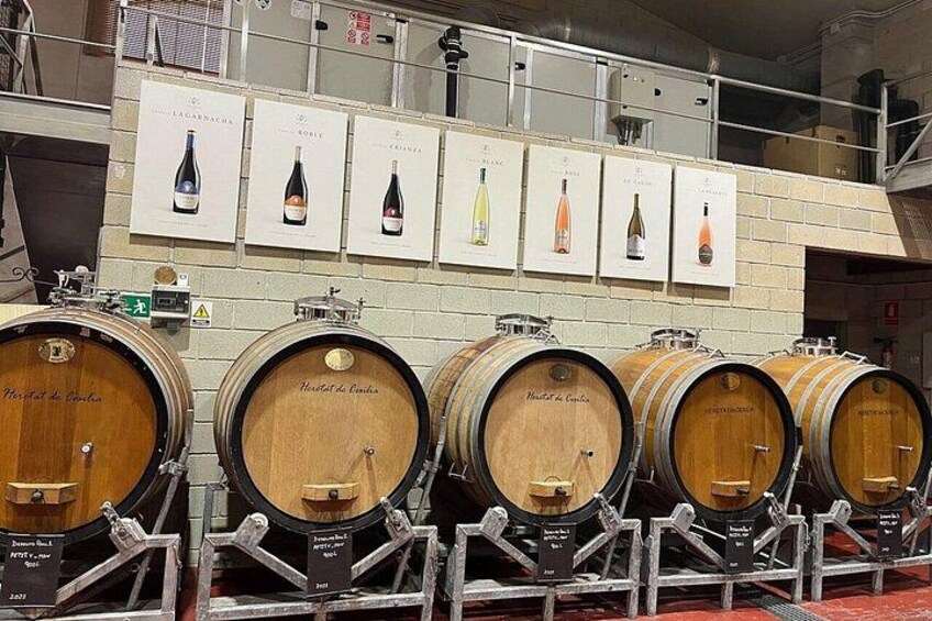 Alicante: Winery tour with tastings (small friendly group) 5