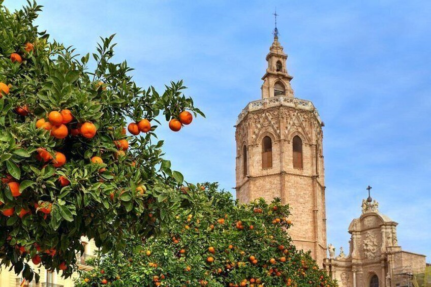 Una iglesia con un campanario y un árbol de naranjos. 2