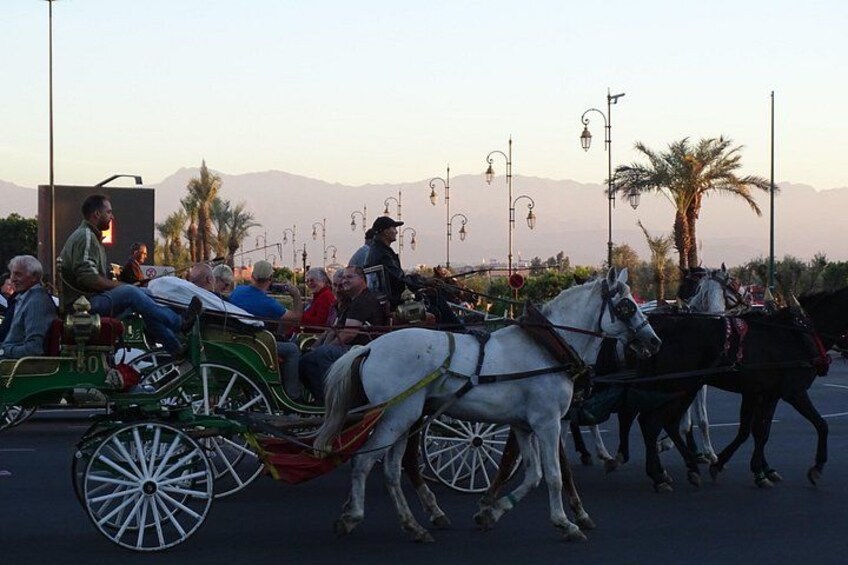 Une calèche tirée par des chevaux, transportant des passagers sur une route, avec des palmiers et des montagnes en arrière-plan. 2
