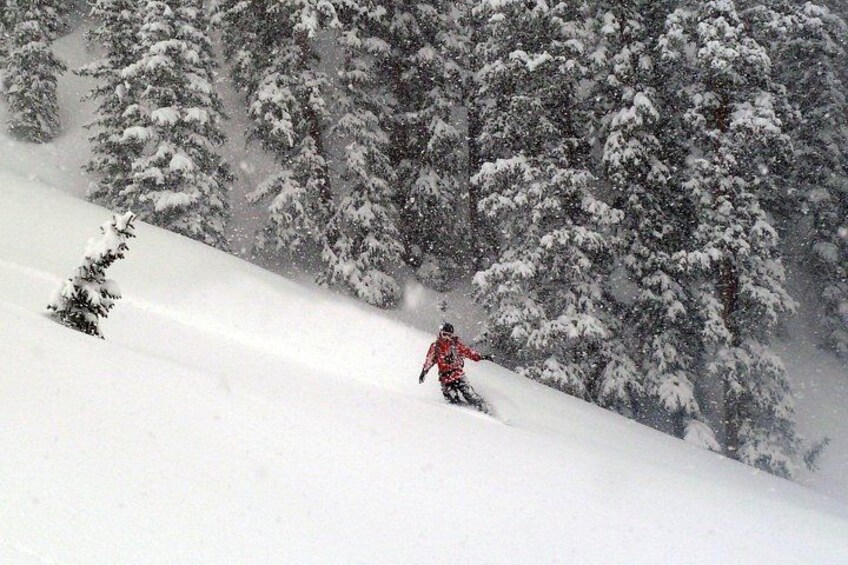 A person skiing down a snowy slope with trees in the background. 3