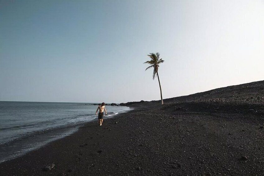 Vieques Coastal Horseback Ride to Black Sand Beach 3