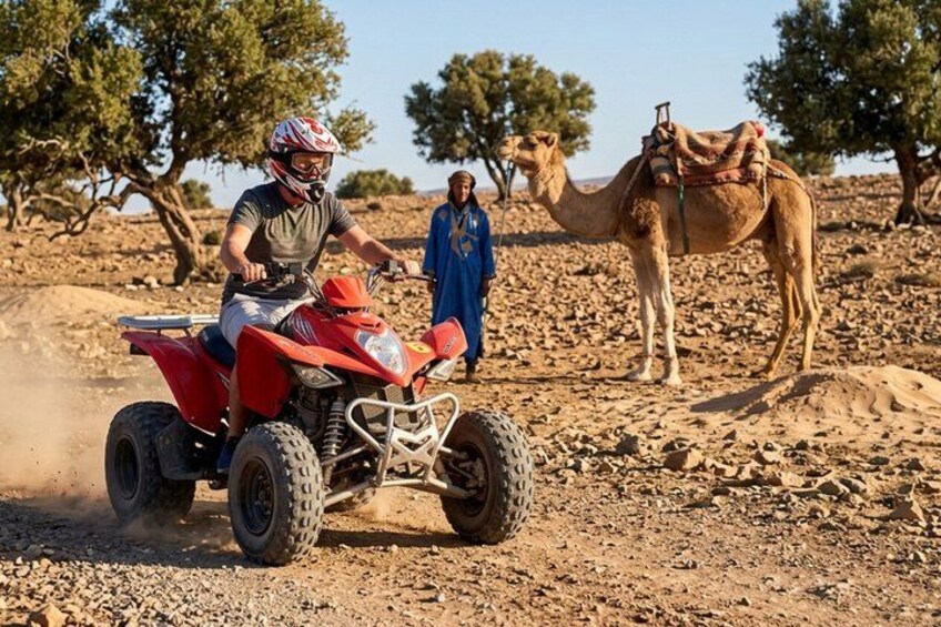 Una persona guida un quad rosso nel deserto, con un cammello sullo sfondo. 1