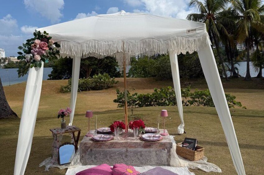 Picnic in San Juan Puerto Rico 2