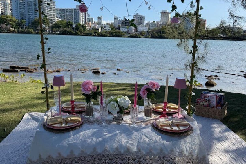 Picnic in San Juan Puerto Rico 5