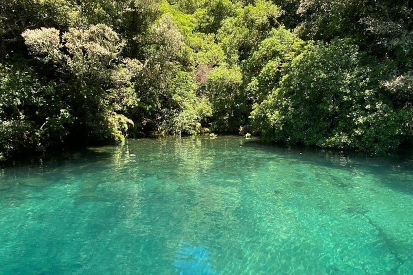 A clear turquoise river surrounded by dense green foliage. 5