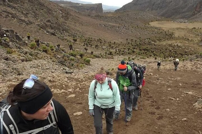 A group of hikers on a rocky trail with sparse vegetation and distant mountains. 3