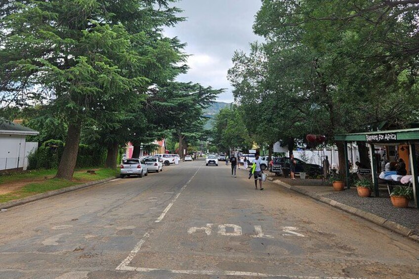 A street lined with trees and parked cars, with a shop on the right. 3