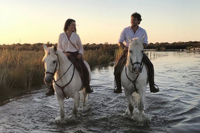 Scenic Horseback Ride Through the Camargue 1
