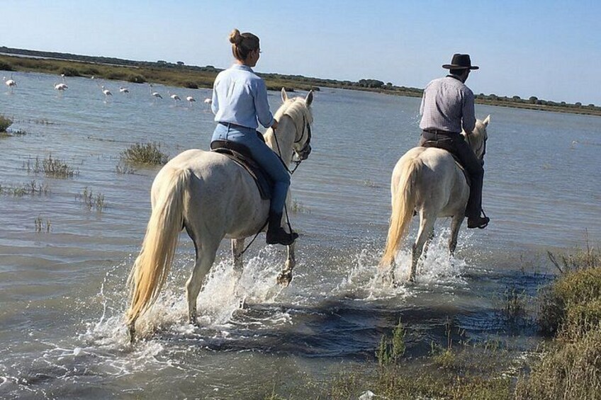 Two people riding horses through shallow water. 2