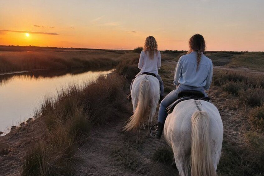 Scenic Horseback Ride Through the Camargue 4