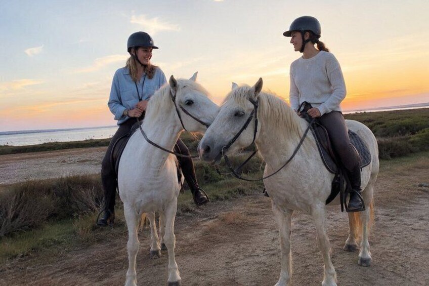 Scenic Horseback Ride Through the Camargue 5