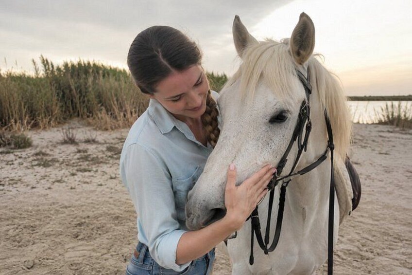 A person with a horse on a sandy beach with vegetation in the background. 3
