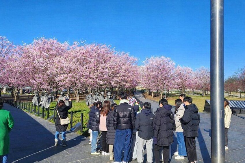 Un grupo de personas de pie sobre un sendero pavimentado, árboles de cerezo en plena floración y un cielo azul despejado. 4